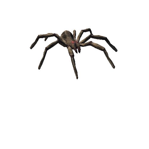 spider fat_01